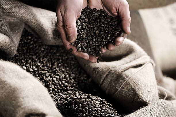 istock Handful of raw coffeebeans 498465705