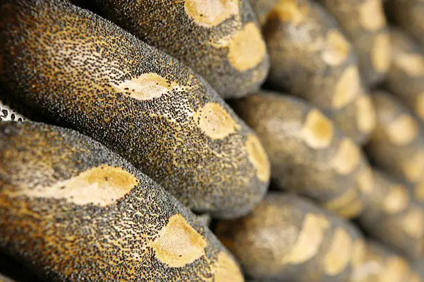 bread in bakery