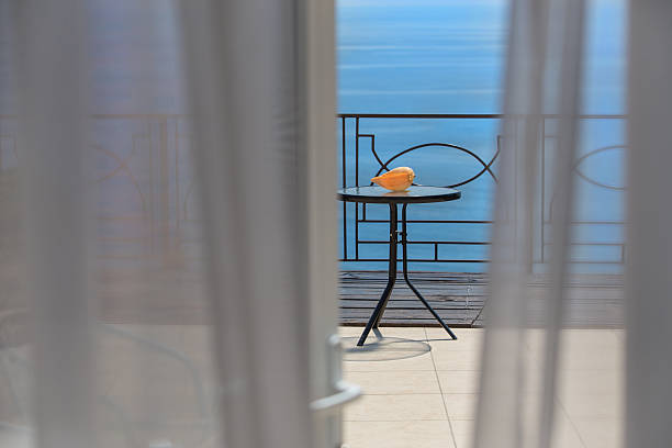 istock cockleshell on table against the sea 498466696