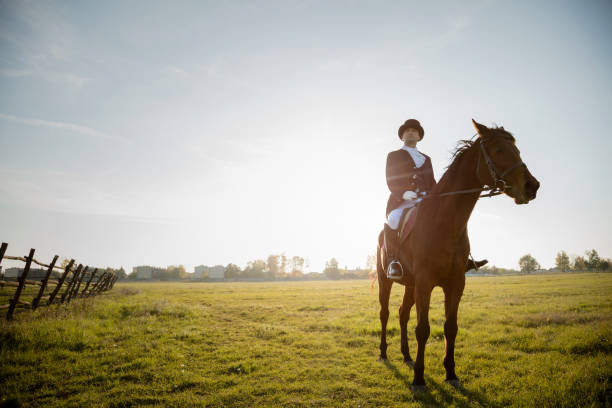 istock Man rides a horse on meadow 498466700