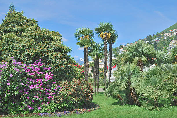 istock Locarno,Lake Maggiore,Switzerland 498466988