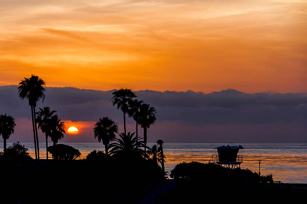 istock Pacific Ocean Sunset with Silhouetted Palm Trees 498474971