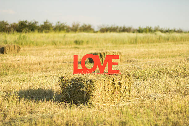 istock love sign on the lawn 498476301