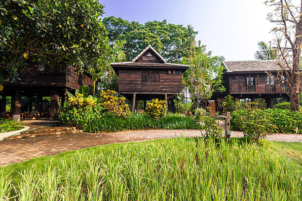 istock Green rice field in the villa,Thailand 498476497