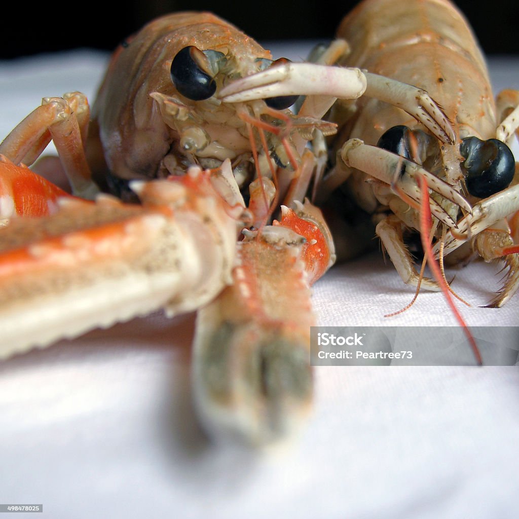 Paar Raw Scampi - Lizenzfrei Blaues Auge Stock-Foto