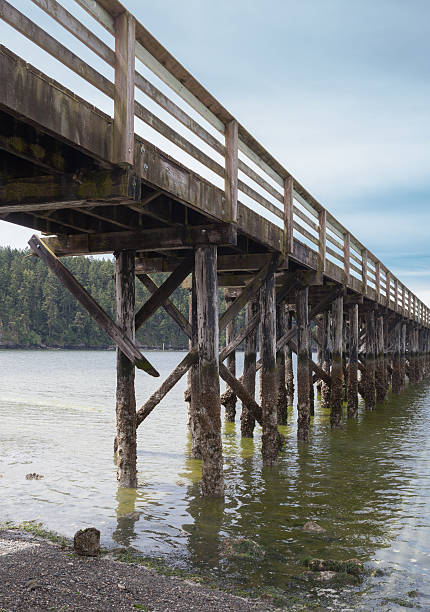 istock Rosario Bay Pier 498478205