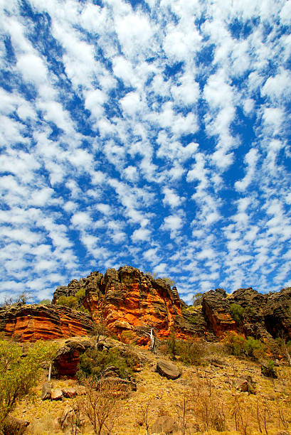 sino gorge, gibb river road, kimberley, austrália ocidental, austrália - kimberley plain - fotografias e filmes do acervo