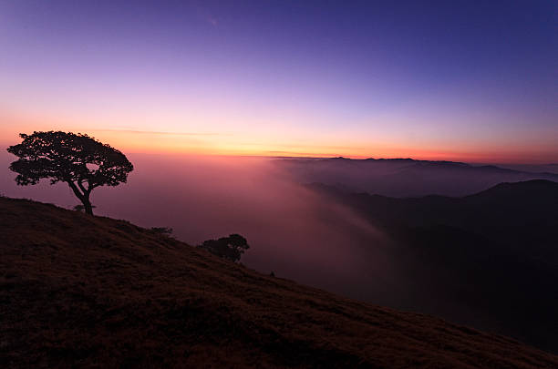silhueta da montanha e árvore isolada em sunrise - fog tree purple winter imagens e fotografias de stock