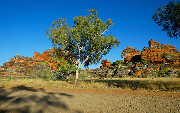 istock The Bungle Bungle Ranges, Western Australia, Australia 498479191