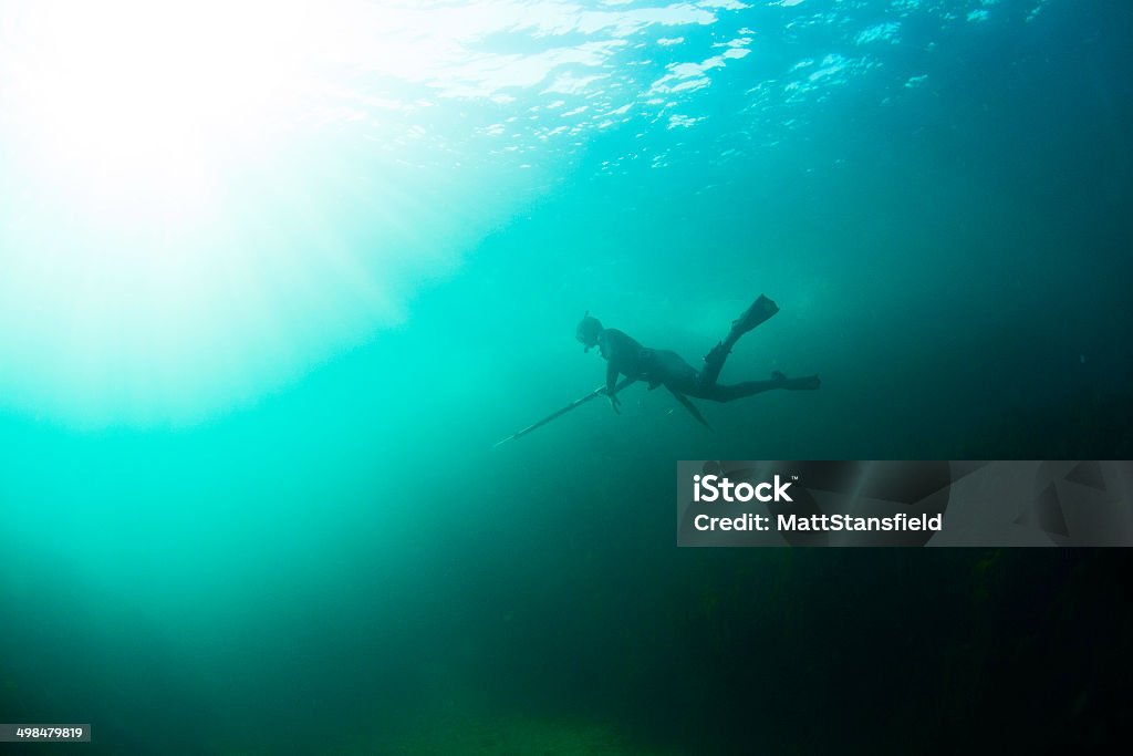 Spear Fisherman A real scene of a young man swimming under the water surface while spear fishing of the Cornwall coast. The photograph was taken from a side on angle. Sunlight can also be seen shining through the water with the fisherman silhouetted. Fishing Stock Photo