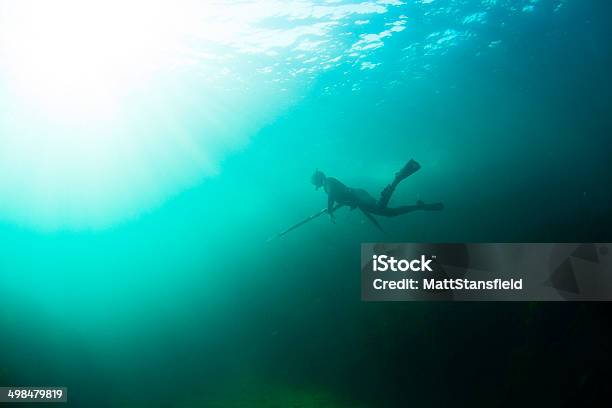Spear Fisherman Stock Photo - Download Image Now - Fishing, Spear, Underwater Diving