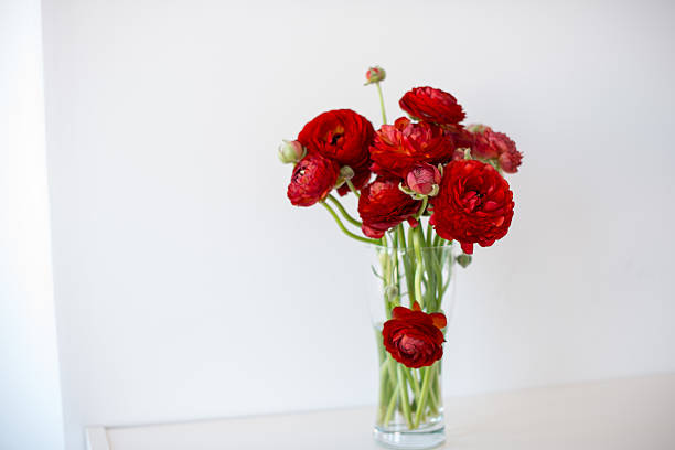 istock bouquet of red Ranunculus 498480231