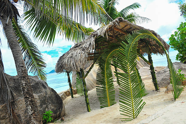 istock one of the beautiful Islands from the Seychelles 498488071