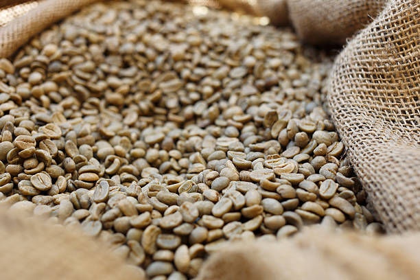 istock sack of unroasted coffee 498488369