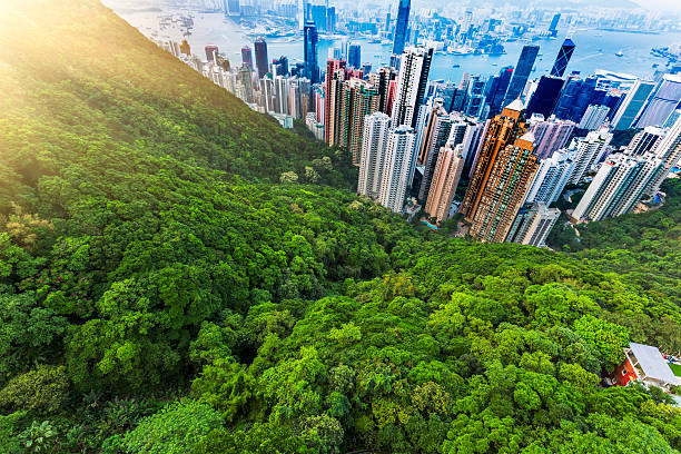 hong kong o zachodzie słońca - landscape forest asia mountain zdjęcia i obrazy z banku zdjęć