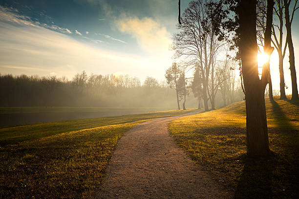 Amazing morning lights autumn park