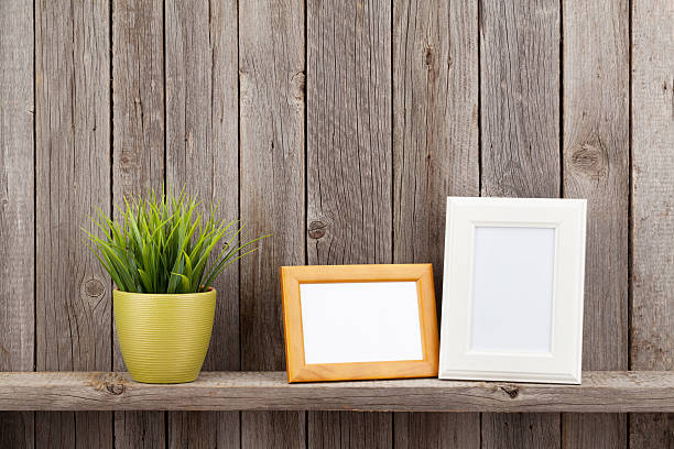 istock Blank photo frames and plant 498491670