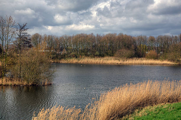 istock Small lake due to giving way of dike 498492606