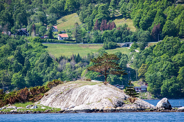 istock Photo taken in Norway 498492687