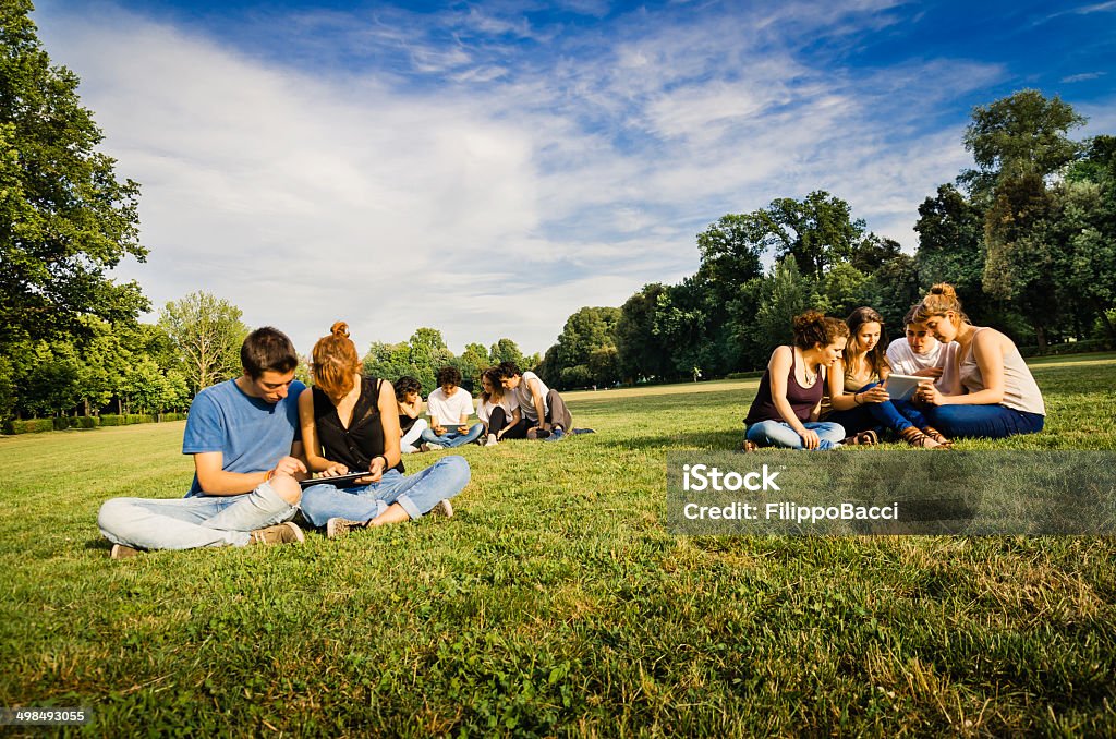 Friends Using Mobile Devices Outdoor Large Group Of People Stock Photo