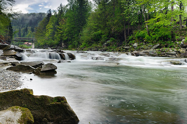 istock rough mountain river with white foam flows among the rocks 498494415