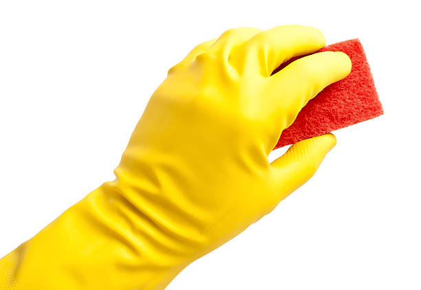 istock Hand in yellow glove with sponge isolated on white background 498494881