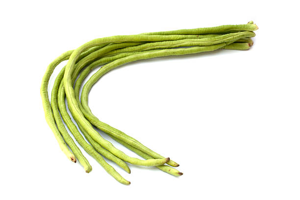 istock Yardlong bean isolated on the white background 498495859