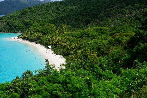 istock Trunk Bay on St. John, United States Virgin Islands 498498410