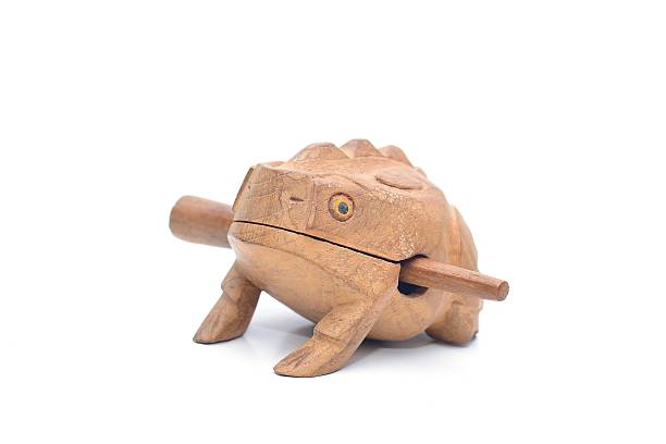 Frog Guiro Frog Guiro music percussion made from wood on white background guiro stock pictures, royalty-free photos & images