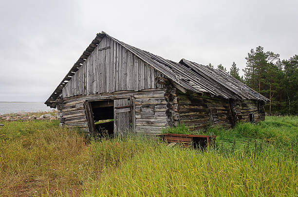 istock Old abandoned barn log cabin on the beach 498499318