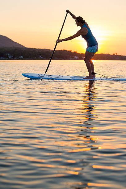 mulher paddle ao pôr do sol - women paddleboard bikini surfing imagens e fotografias de stock