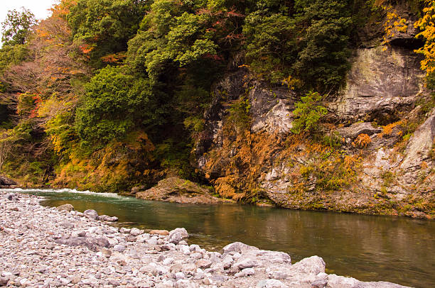 istock Autumn leaves and river in the mountains. 498500960