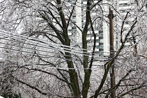 Electrical wires coated by ice during freezing rain and ice storm in Toronto residential area