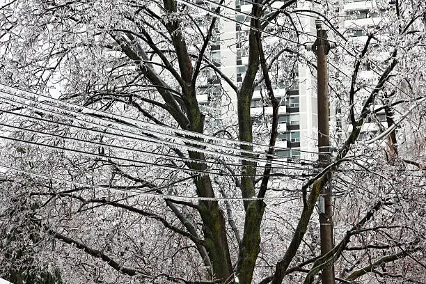 Electrical wires coated by ice during freezing rain and ice storm in Toronto residential area