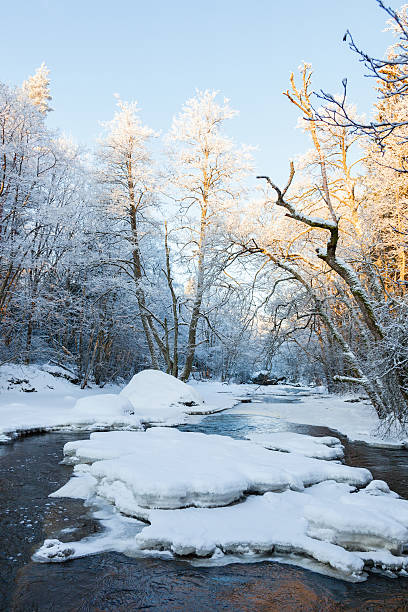 istock River running through the valley in the winter forest 498503536