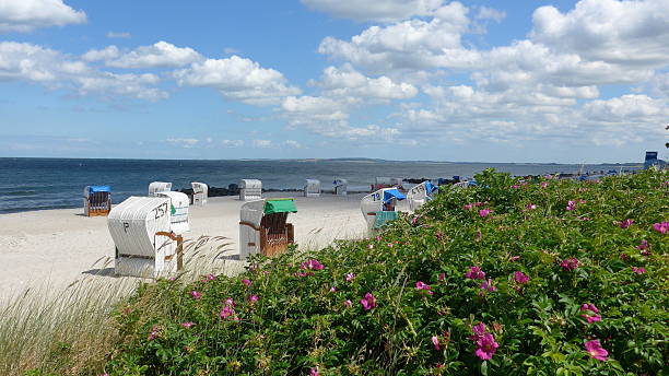Day by the sea  - Bild -