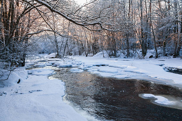 istock River landscape at sunset in winter 498503598