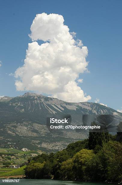 Lake Gironde Stock Photo - Download Image Now - Animals In The Wild, European Alps, French Food