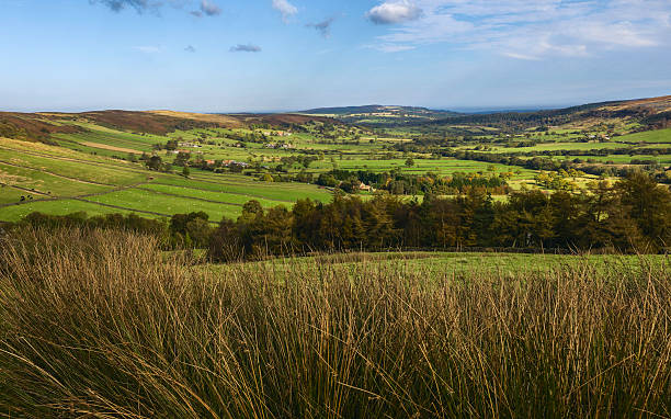 istock North York Moors in autumn, Yorkshire, UK. 498505156