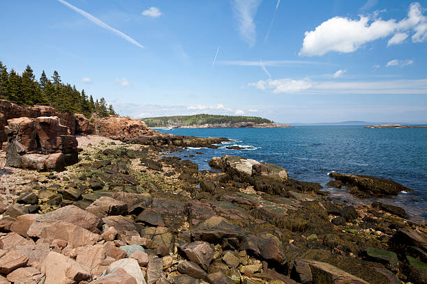 istock Thunder hole in Acadia National Park at Maine 498505307