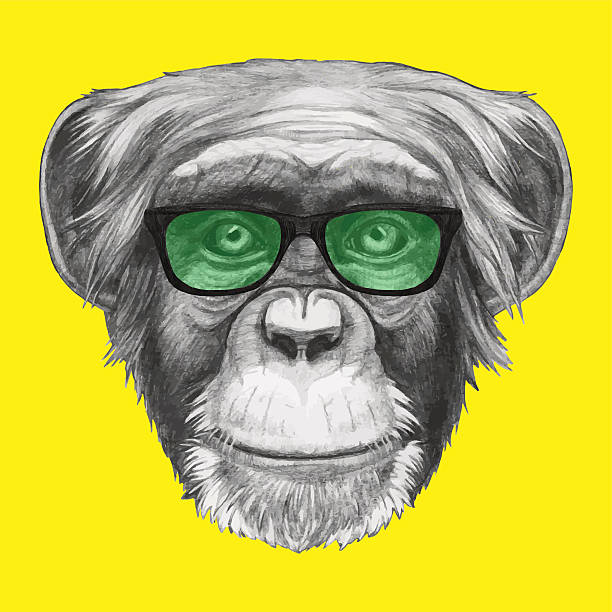 Portrait of Monkey with glasses. Hand drawn portrait of Monkey with glasses. Vector isolated elements. animal head man stock illustrations