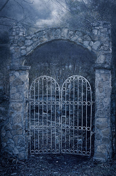 old mystic gate in einem nebligen dämmerung - gothic style horror cemetery spooky stock-fotos und bilder
