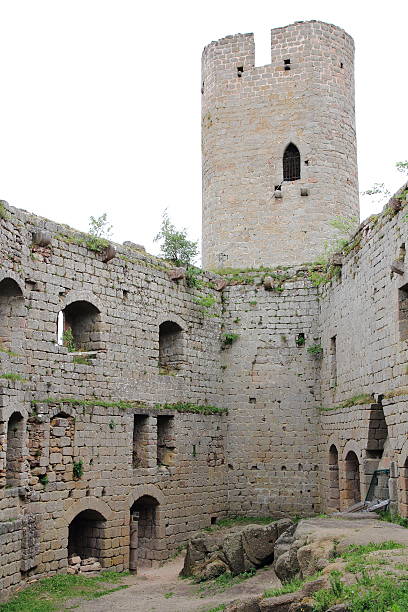 120+ Corpo Di Barr Foto stock, immagini e fotografie royaltyfree iStock