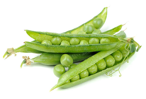istock Green Peas in Pods Isolated on White Background 498507743