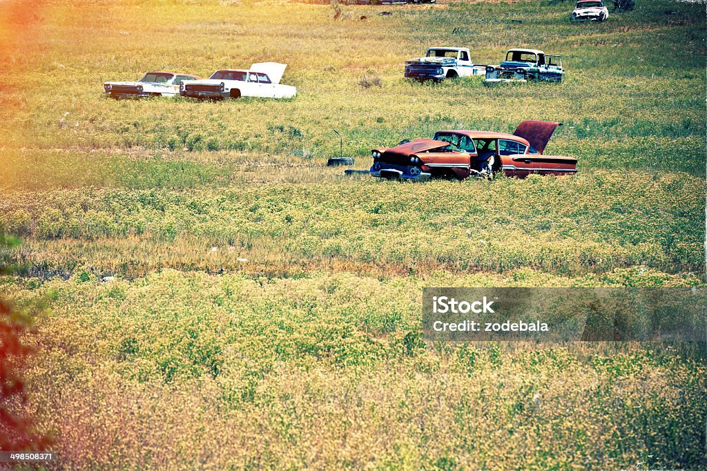 Old Vinatge Abandoned Cars in a Field Abandoned american car Abandoned Stock Photo