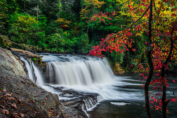 フッカー滝 - dupont state forest ストックフォトと画像