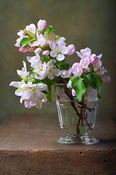 istock Still life with a branch  of blossoming apple tree 498510823