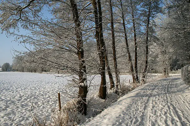 Snow covered landscape in Twente, Netherlands.