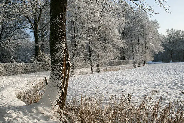 Sunny snow covered landscape in eastern part of Holland.