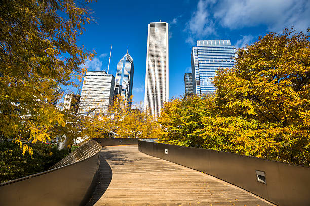 istock Millennium Park walkway Chicago 498511639